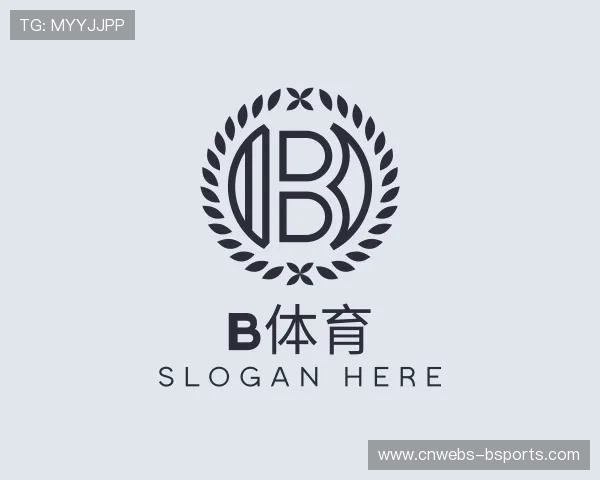 关于b体育公司